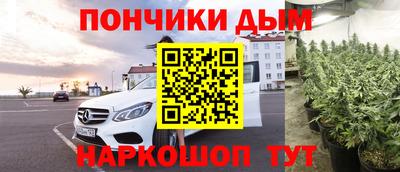 гидра Шелехов