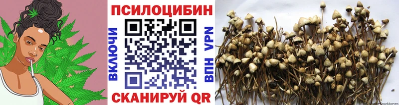 купить наркоту  Мегион  shop состав  Псилоцибиновые грибы мухоморы 